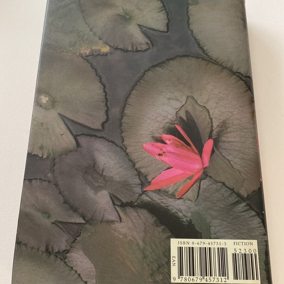 THE GOD OF SMALL THINGS A NOVEL by ARUNDHATI ROY - Picture 3 of 3